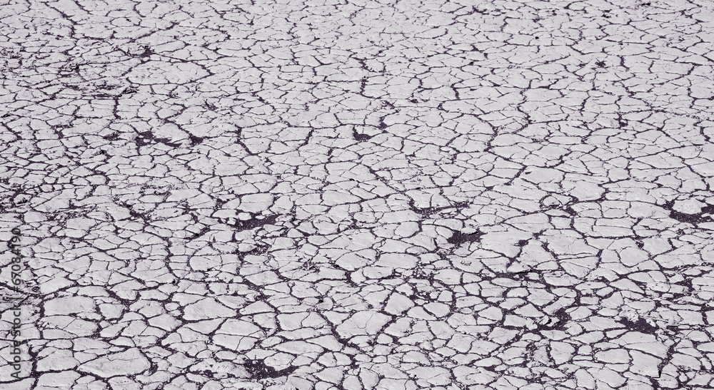 Parched desert in Namibia Parched desert in Namibia