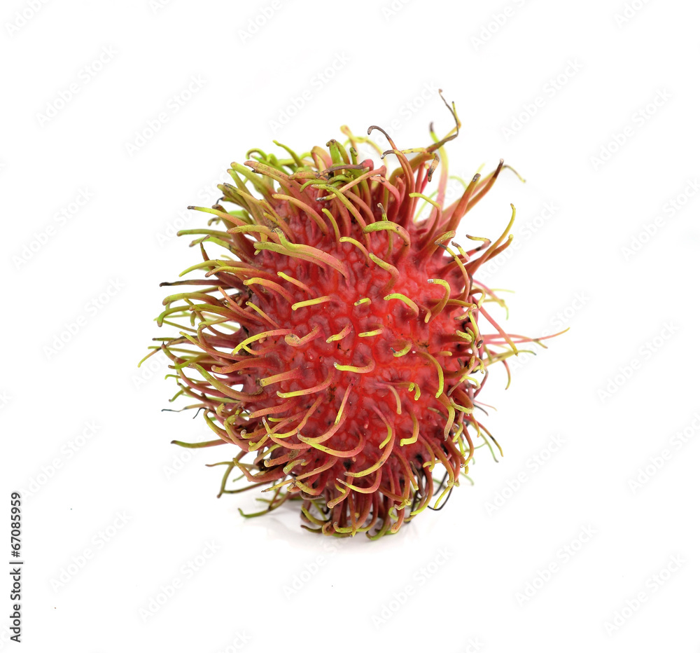 Fototapeta premium Rambutan - Tropical Fruits Rambutan on isolated background