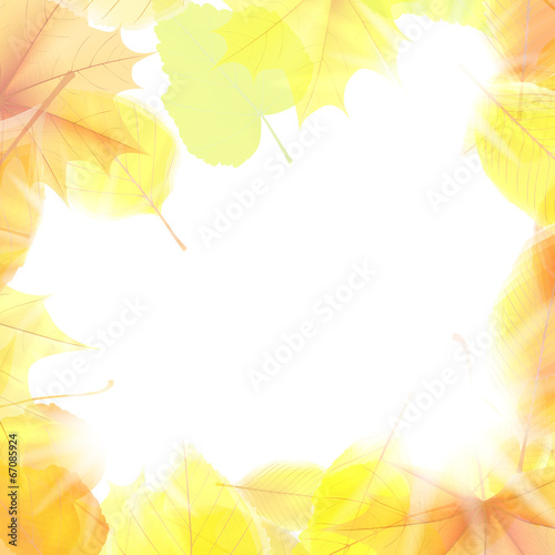 Autumn background with maple leaves. plus EPS10