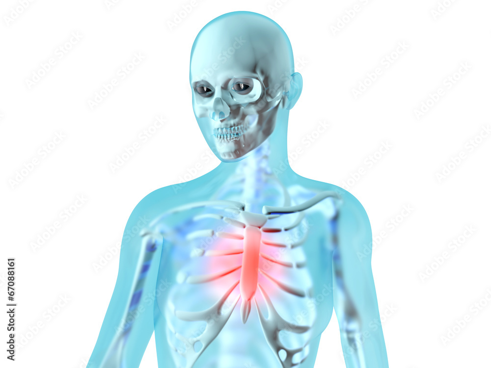 Weibliche Anatomie - Brustschmerzen Weibliche Anatomie - Brustschmerzen