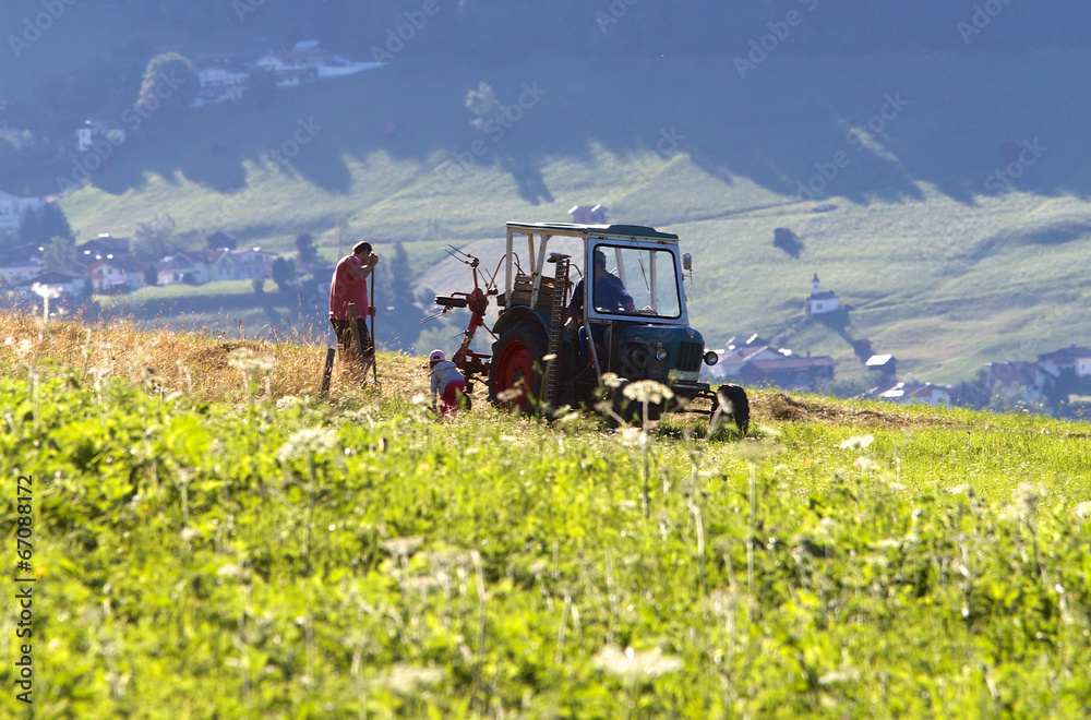 Fototapeta premium Feldarbeit Tirol