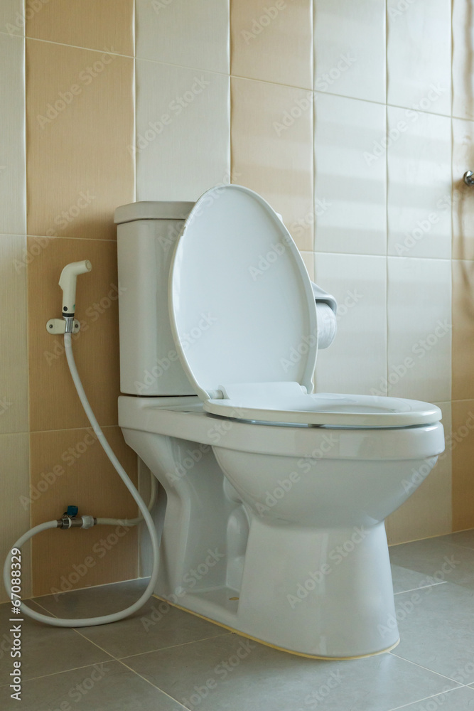 toilet bowl in house design of interior decoration toilet bowl in house design of interior decoration