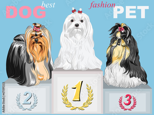 vector fashion dog champion on the podium