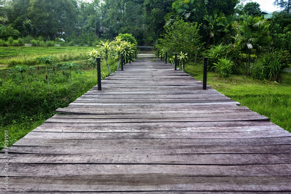 Wooden walking path