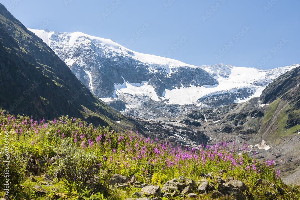 Fototapeta premium Taschachferner, Austria