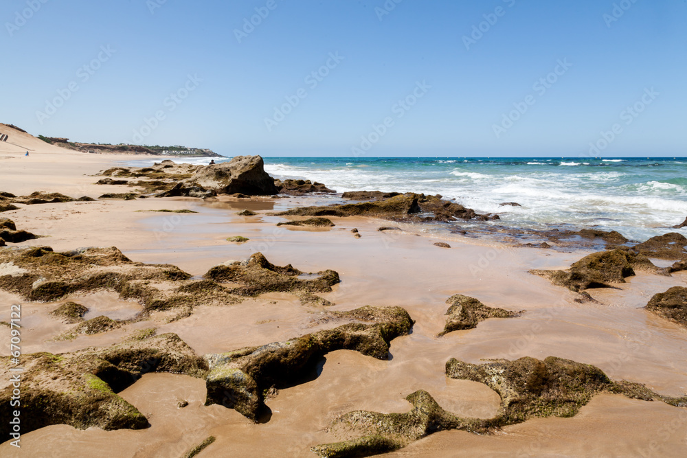 Beach on summer