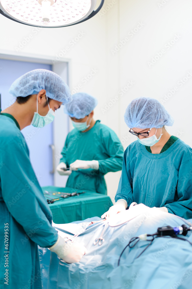Obraz premium veterinarian surgeons in operation room
