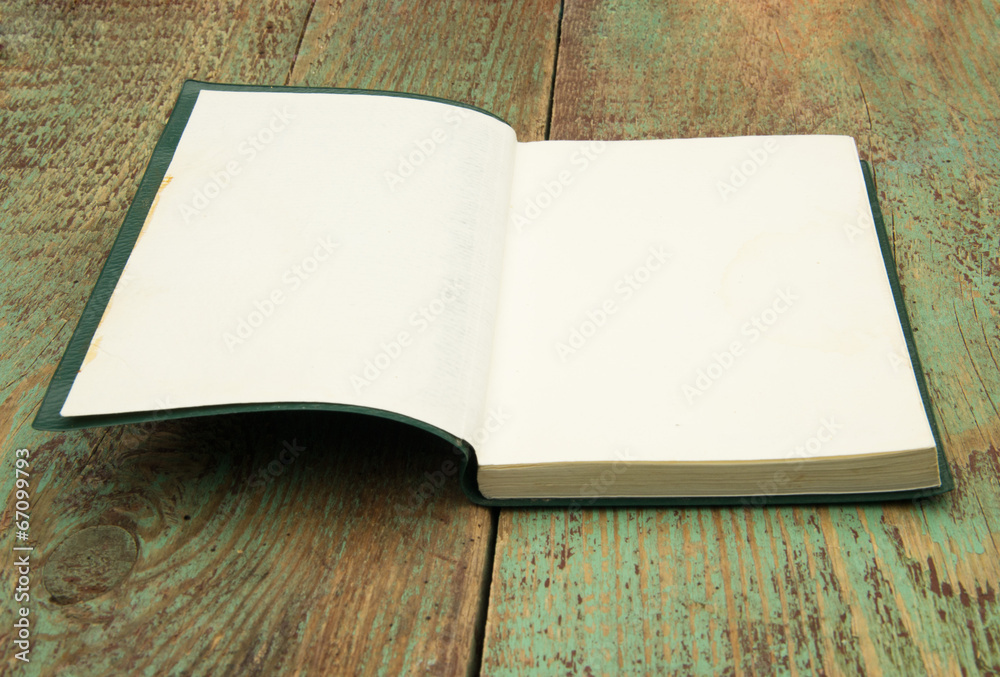 Fototapeta premium open book with blank pages