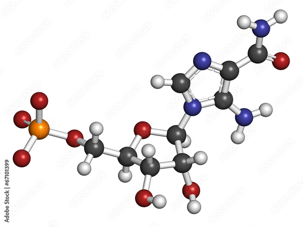 AICA ribonucleotide (AICAR) performance enhancing drug molecule. AICA ribonucleotide (AICAR) performance enhancing drug molecule.