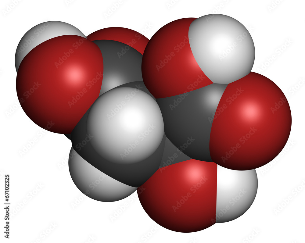 Malic acid organic dicarboxylic acid molecule. Malic acid organic dicarboxylic acid molecule.