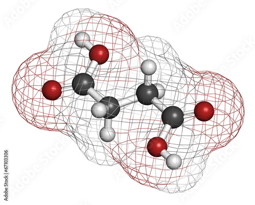Bild auf Leinwand Succinic acid (butanedioic acid, spirit of amber) molecule.