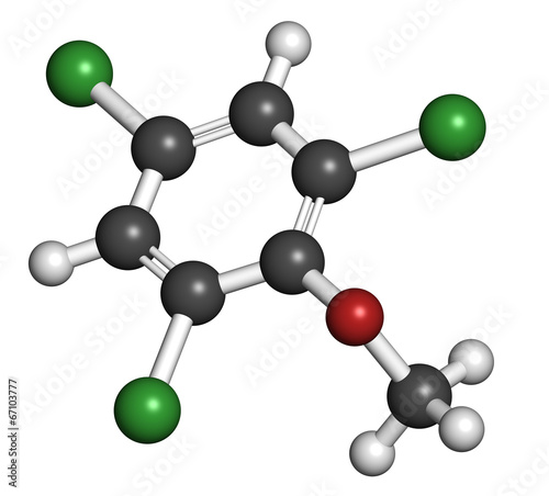 Quadro su tela Trichloroanisole (TCA) cork taint molecule.
