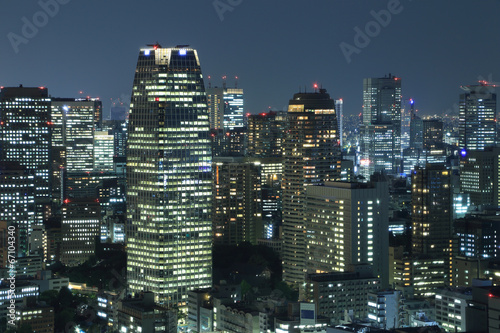 Tokyo cityscape at night © geargodz