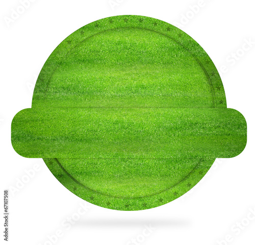 Green Sports Icon