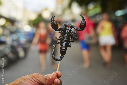 Roasted scorpion
