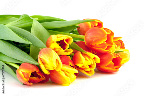 bouquet of yellow and orange tulips isolated