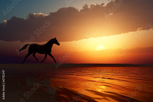horse walk silhouette