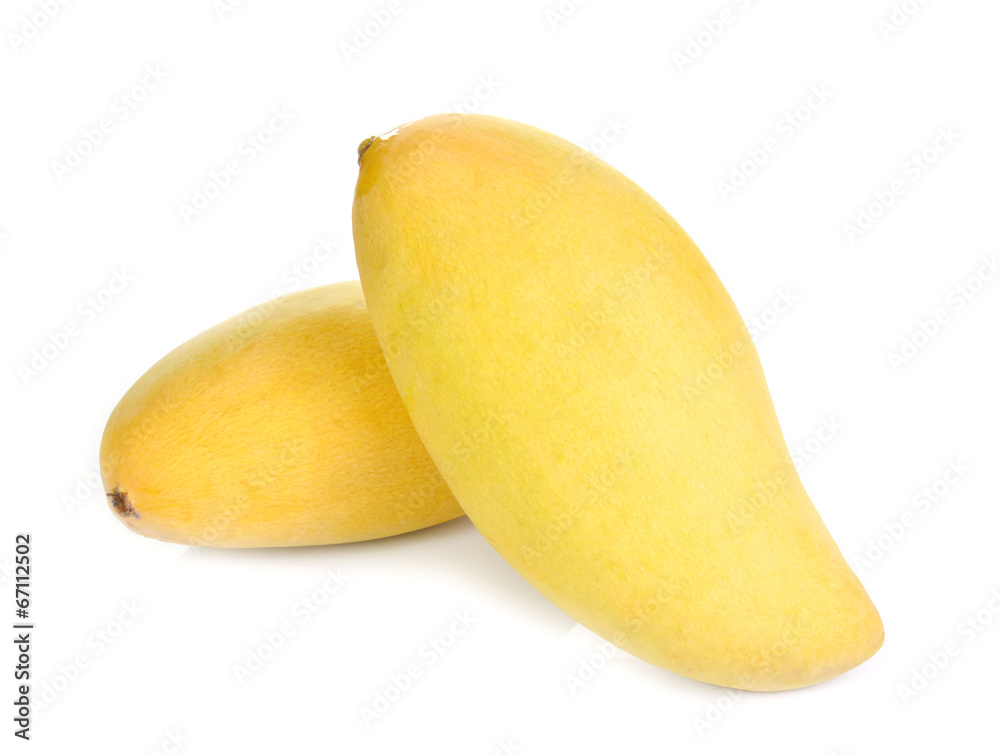 Yellow mango ,thai fruit favorite isolated on a white background