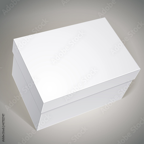 Package white box design, template for your package design, put