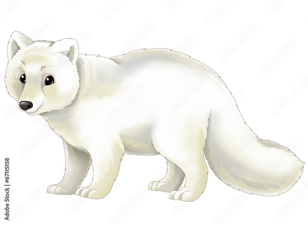 Cartoon animal - arctic fox - illustration for children Stock ...
