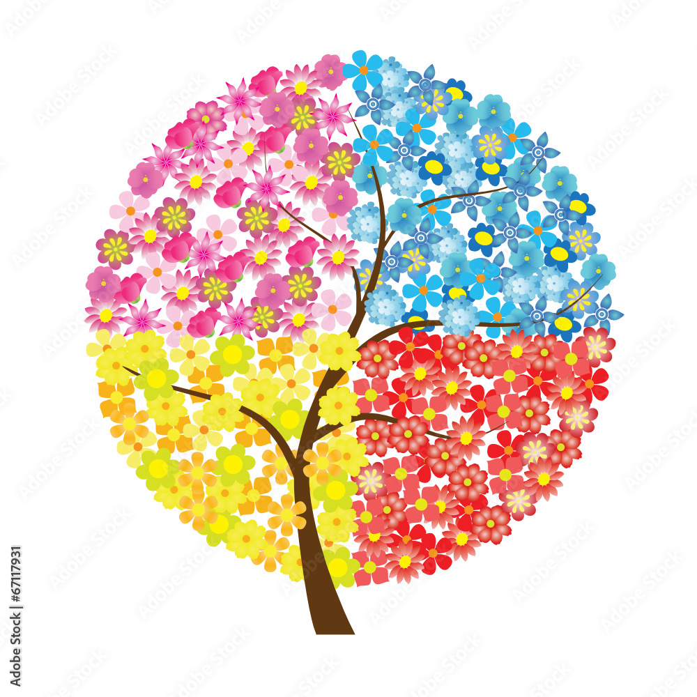 Flores