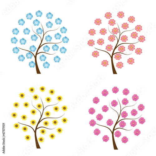Flores