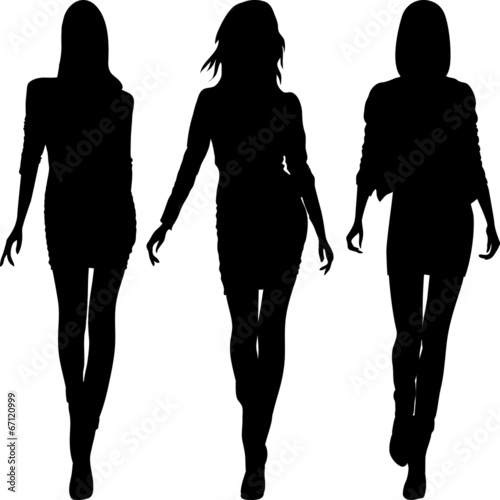 Vector silhouette of fashion girls top models