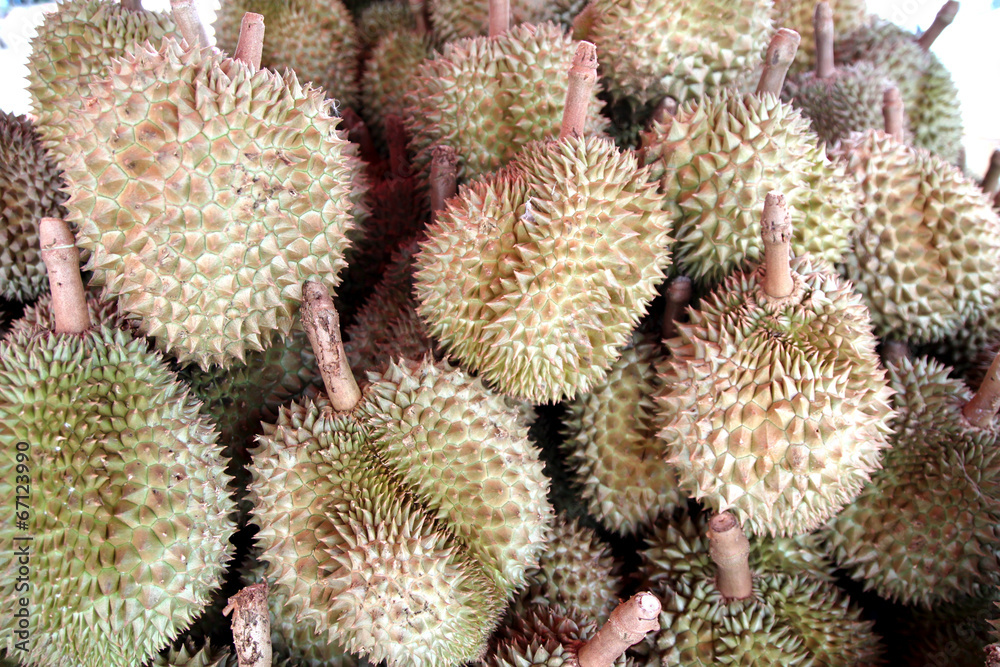 Durian Durian