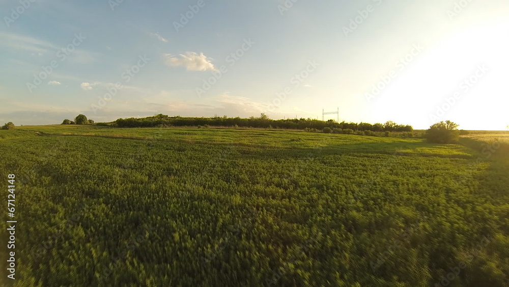 flying over cultivated land flying over cultivated land