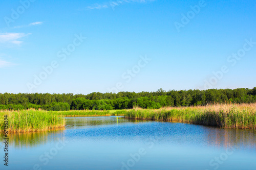Beautiful forest lake lake under blue cloudy sky landscape.