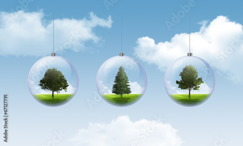 Fényképezés Bulle d'arbre chêne-épinette-érable