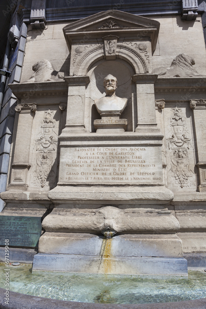 Obraz premium Fountain in Brussels, Belgium