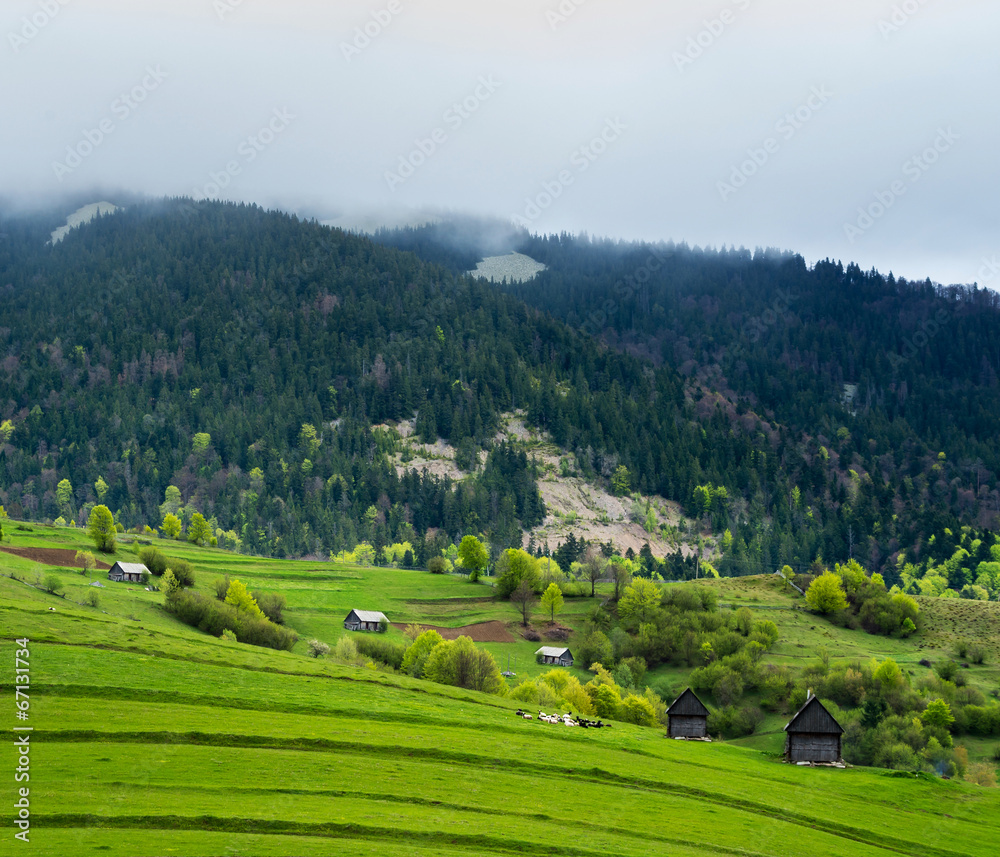 Green meadow in mountain village.