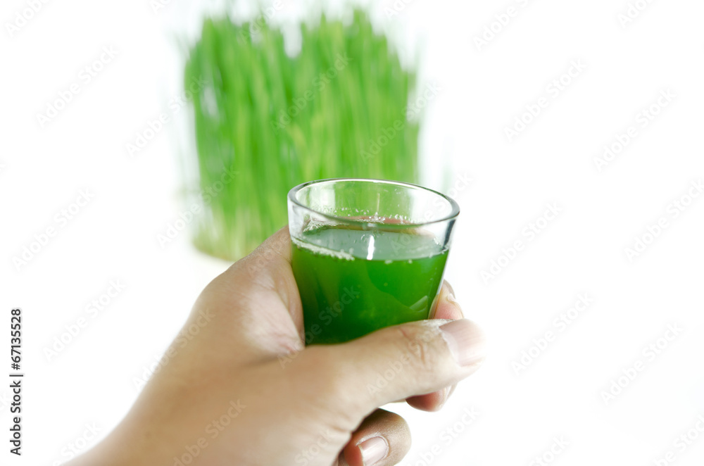 Wheat grass Wheat grass