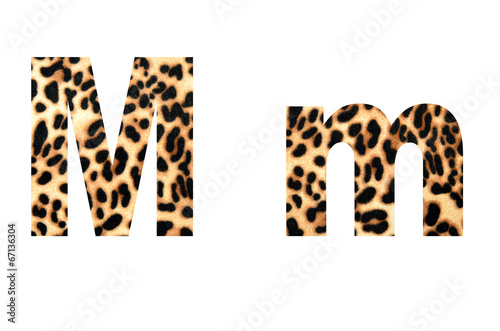 font tiger