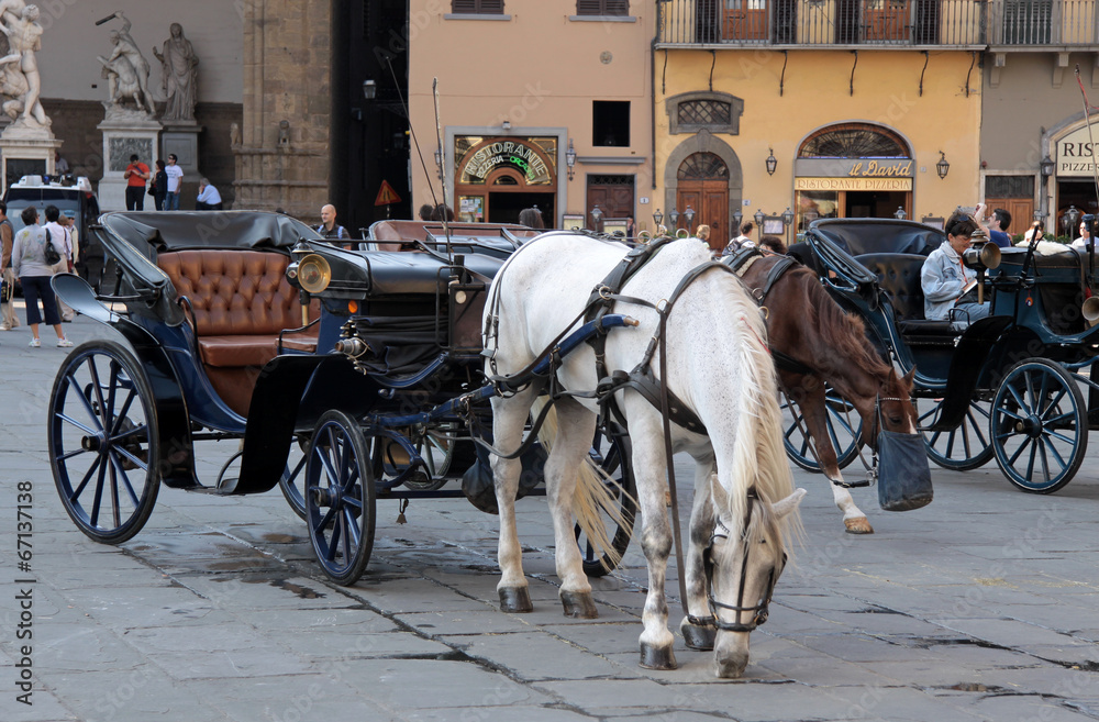 Pferdekutsche am Piazza della Signoria Pferdekutsche am Piazza della Signoria
