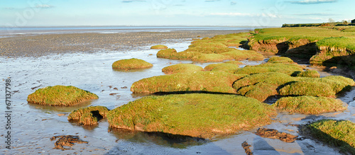 Obraz na płótnie Solway firth salt marsh