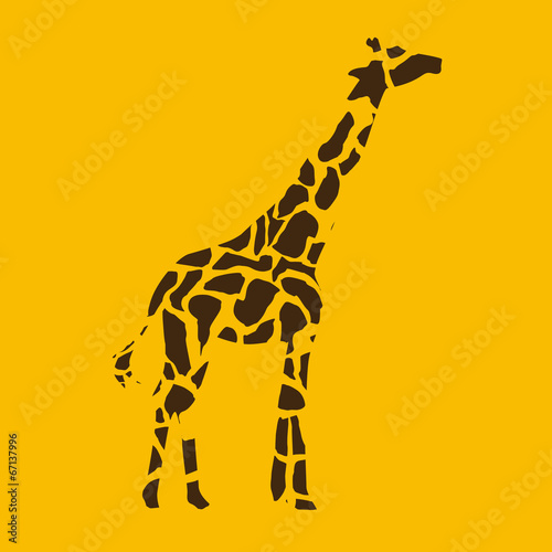 animal design
