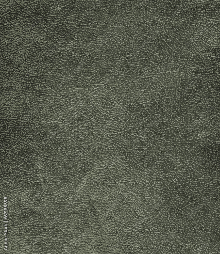 Fototapeta premium green leatherette texture as background