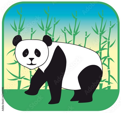 Fototapeta Naklejka Na Ścianę i Meble -  panda vector hand drawn