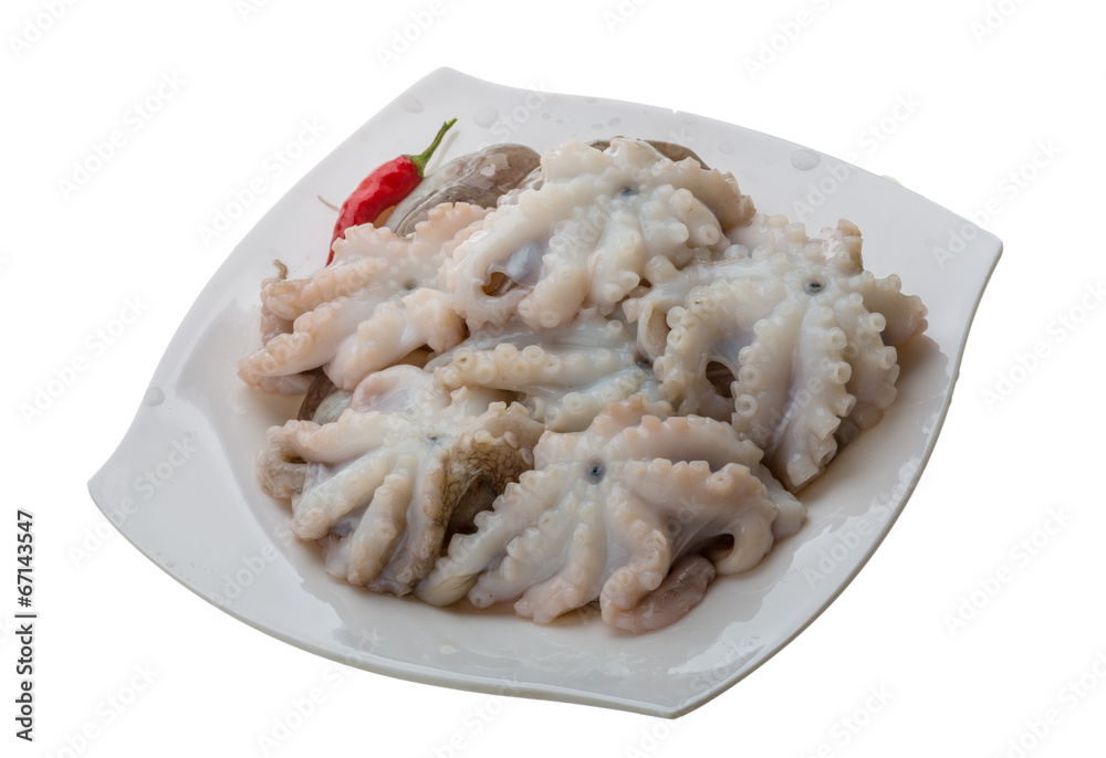 Raw octopus