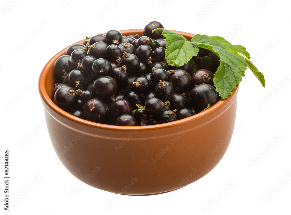 Black currant Black currant