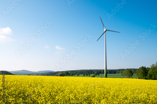 Blue sky, yellow rapeseed and a windwheel in Germany