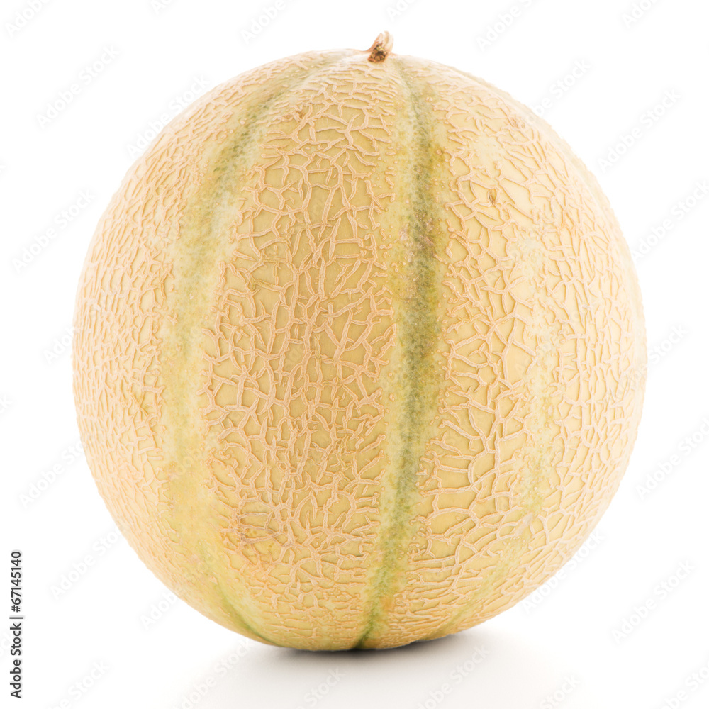 Honeydew melon Honeydew melon