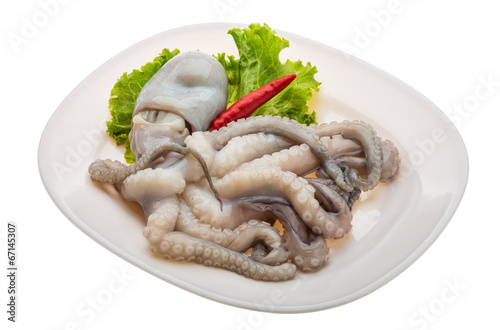 Raw octopus