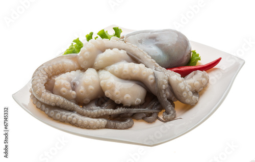 Raw octopus