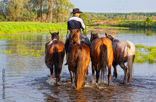 cowboy fords through the river with horses
