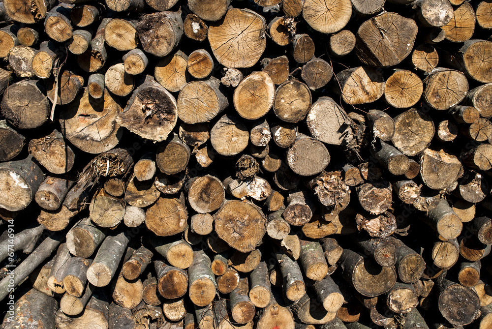 Drying Logs Drying Logs
