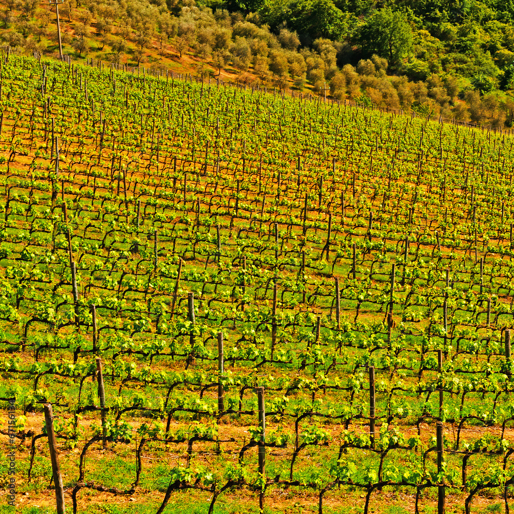 Tuscany Tuscany