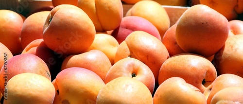 Abricots au marché de Provence